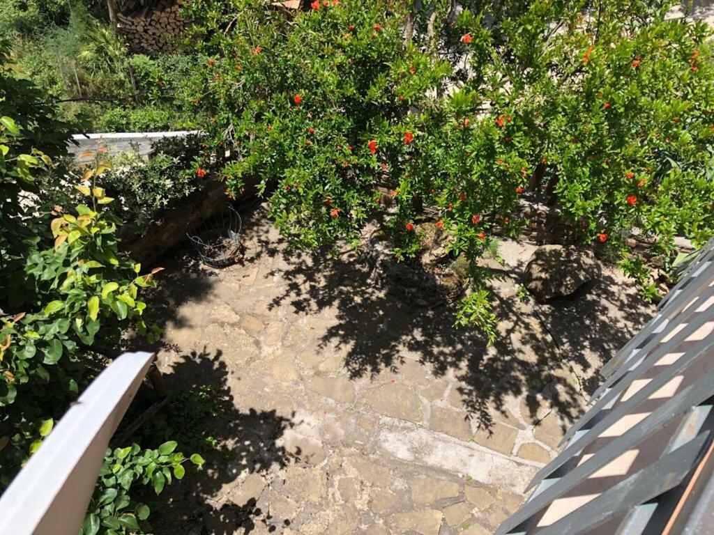 Casa Bellavista Holiday home Viggianello